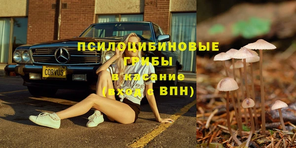 ПСИЛОЦИБИНОВЫЕ ГРИБЫ Вязьма
