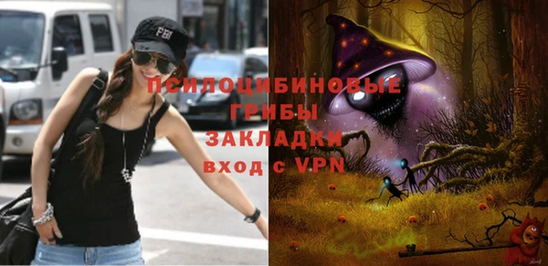 прущие крисы Вяземский