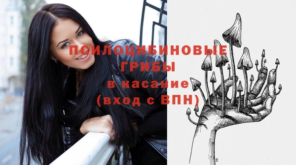 ПСИЛОЦИБИНОВЫЕ ГРИБЫ Вязьма