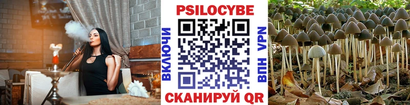Галлюциногенные грибы Psilocybine cubensis  наркошоп  Омутнинск 